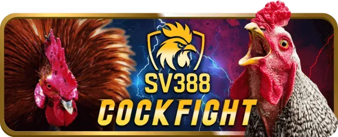 Thử Thách Casino N188 Code